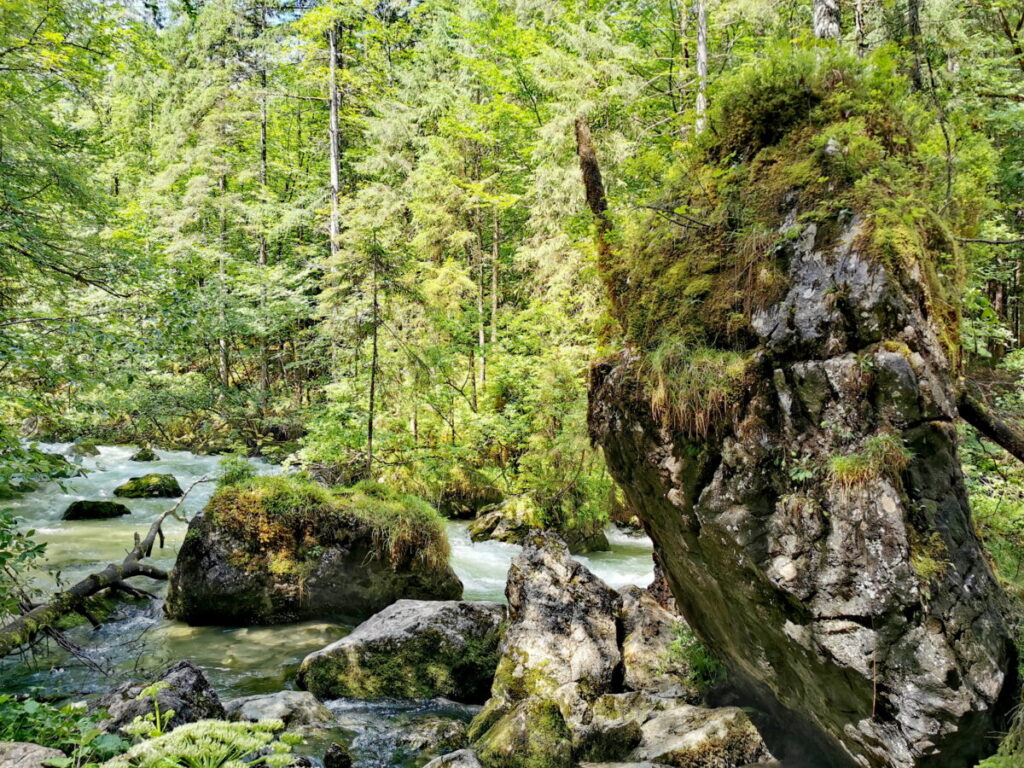 Wildromantische Bachlandschaft im Echerntal Hallstatt